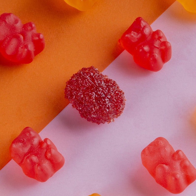 PANDITAS